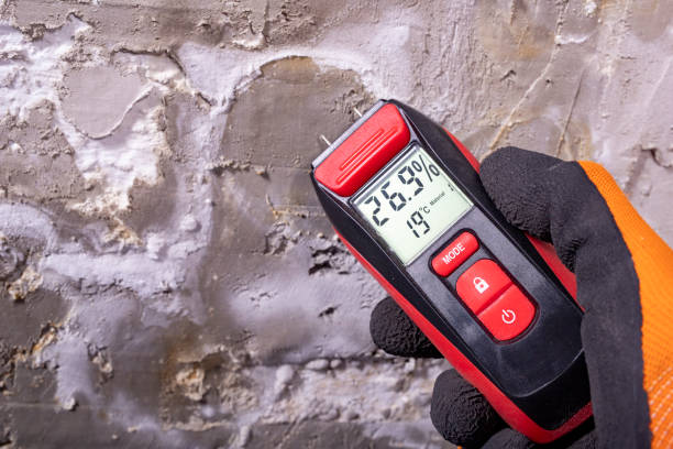 Best Insurance-Related Mold Remediation in Clinton, SC
